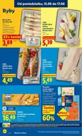 Lidl gazetka Strona 64