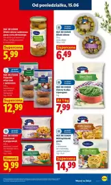 Lidl gazetka Strona 69