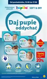 Lidl gazetka Strona 91