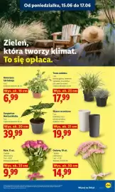 Lidl gazetka Strona 97
