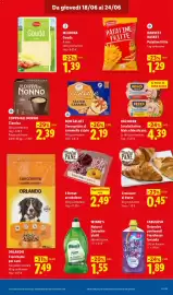 Volantino Lidl settimana 25 Pagina 17