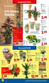 Volantino Lidl settimana 25 Pagina 32