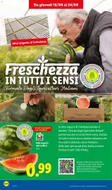 Volantino Lidl settimana 25 Pagina 4