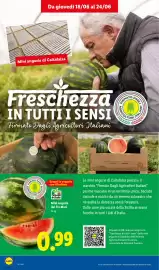 Volantino Lidl settimana 25 Pagina 4