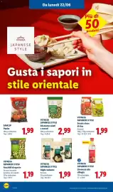 Volantino Lidl settimana 25 Pagina 44