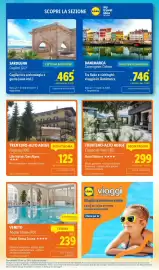 Volantino Lidl settimana 25 Pagina 49