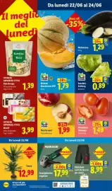 Volantino Lidl settimana 25 Pagina 51