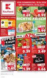 Kaufland DE folder week 25 Pagina 1