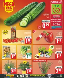 Edeka DE folder week 25 Pagina 4