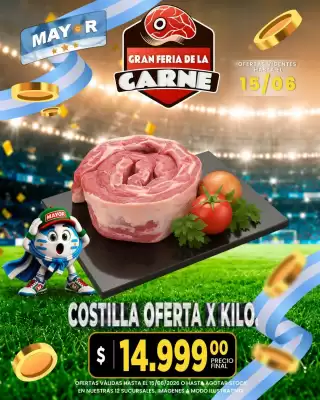 Mayor (válido hasta 15-06)