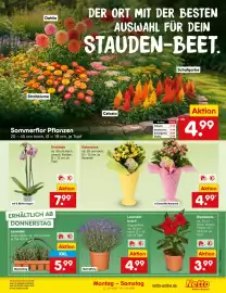Netto Marken-Discount DE folder week 25 Pagina 21
