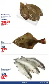 Makro folder Pagina 37