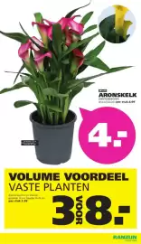 Ranzijn folder Pagina 2