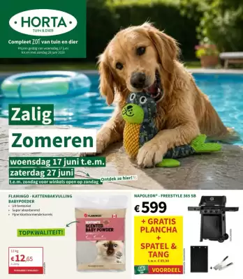 Horta folder