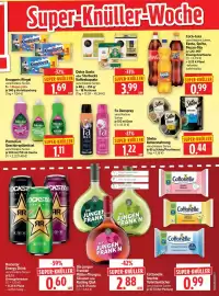 Edeka Herkules Prospekt woche 25 Seite 11