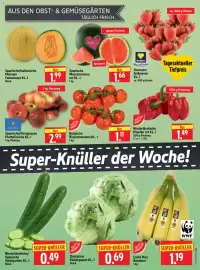 Edeka Herkules Prospekt woche 25 Seite 5