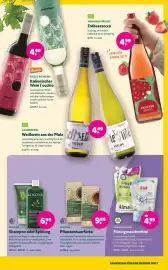 Biomarkt Prospekt Seite 13