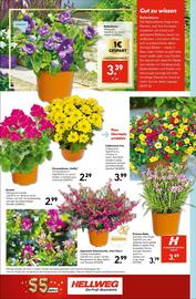 Hellweg Prospekt woche 25 Seite 18