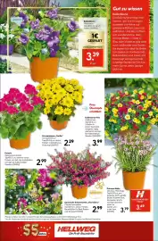 Hellweg Prospekt woche 25 Seite 18