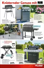 Hellweg Prospekt woche 25 Seite 3