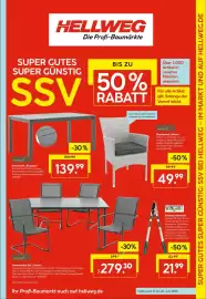 Hellweg Prospekt woche 25 Seite 9