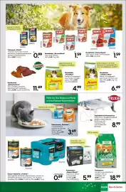 BayWa Bau & Garten Prospekt woche 25 Seite 11
