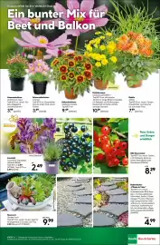 BayWa Bau & Garten Prospekt woche 25 Seite 17