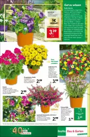 BayWa Bau & Garten Prospekt woche 25 Seite 18