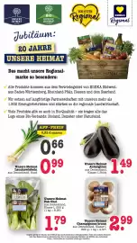 Scheck-in-Center Prospekt woche 25 Seite 21
