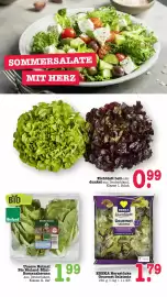 Scheck-in-Center Prospekt woche 25 Seite 22