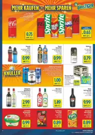 Diska Prospekt woche 25 Seite 13