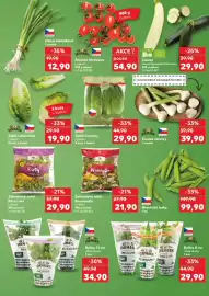 Kaufland leták týden 25 Strana 11