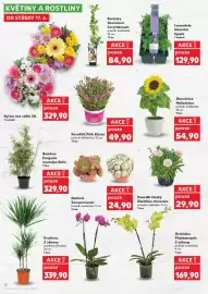 Kaufland leták týden 25 Strana 12