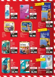 Kaufland leták týden 25 Strana 21