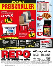 Repo Markt Prospekt woche 25 Seite 16