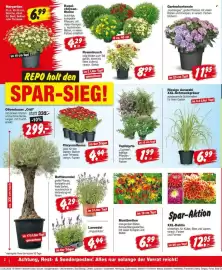 Repo Markt Prospekt woche 25 Seite 2