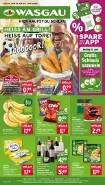 Wasgau Prospekt woche 25 Seite 1