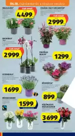 ALDI akciós újság hét 25 Oldal 12
