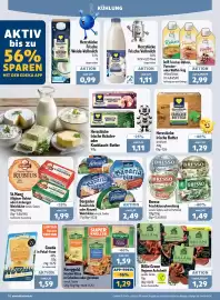Aktiv Irma Prospekt woche 25 Seite 8