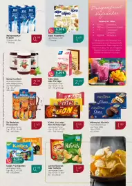 Dornseifer Prospekt woche 25 Seite 13