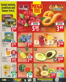 Elli Markt Prospekt woche 25 Seite 6