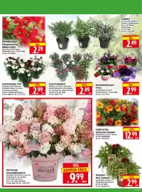 Herkules Baumarkt Prospekt woche 25 Seite 2