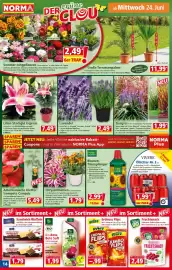 Norma Prospekt woche 26 Seite 14
