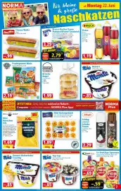 Norma Prospekt woche 26 Seite 7