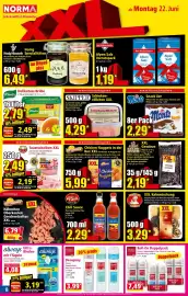 Norma Prospekt woche 26 Seite 8