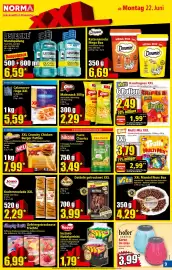 Norma Prospekt woche 26 Seite 9