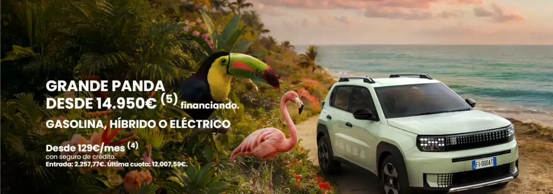 Fiat (válido hasta el 31-12)