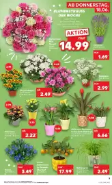 Kaufland Prospekt Seite 14