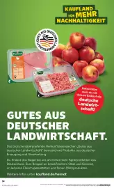 Kaufland Prospekt Seite 63