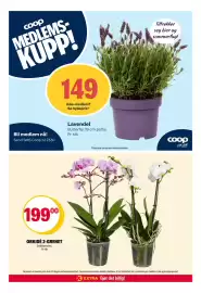Coop Extra kundeavis Side 35